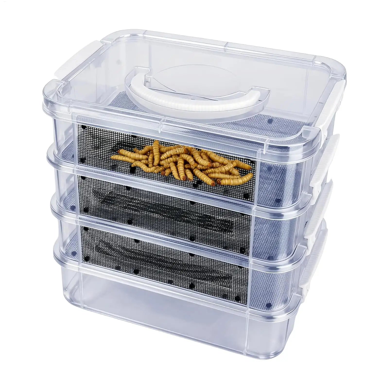 Kit d'Élevage de Vers de Farine 4 Étages - Nourriture Vivante pour Reptiles