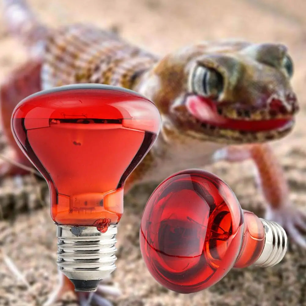 Ampoule Chauffante Infrarouge E27 pour Terrarium - Lampe Reptile 25W-100W