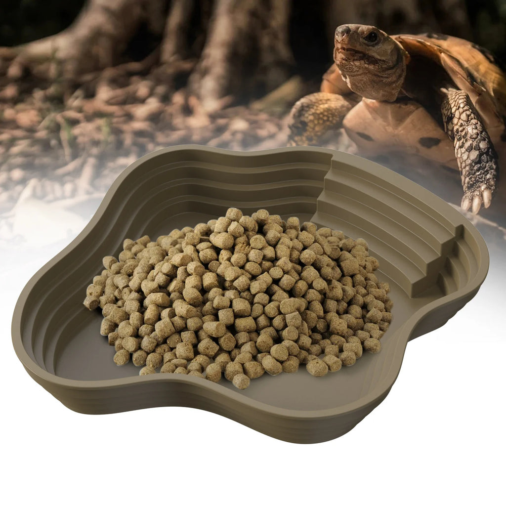 Bassin de Bain et Gamelle Multi-Usage pour Tortue & Reptile - NOMOYPET