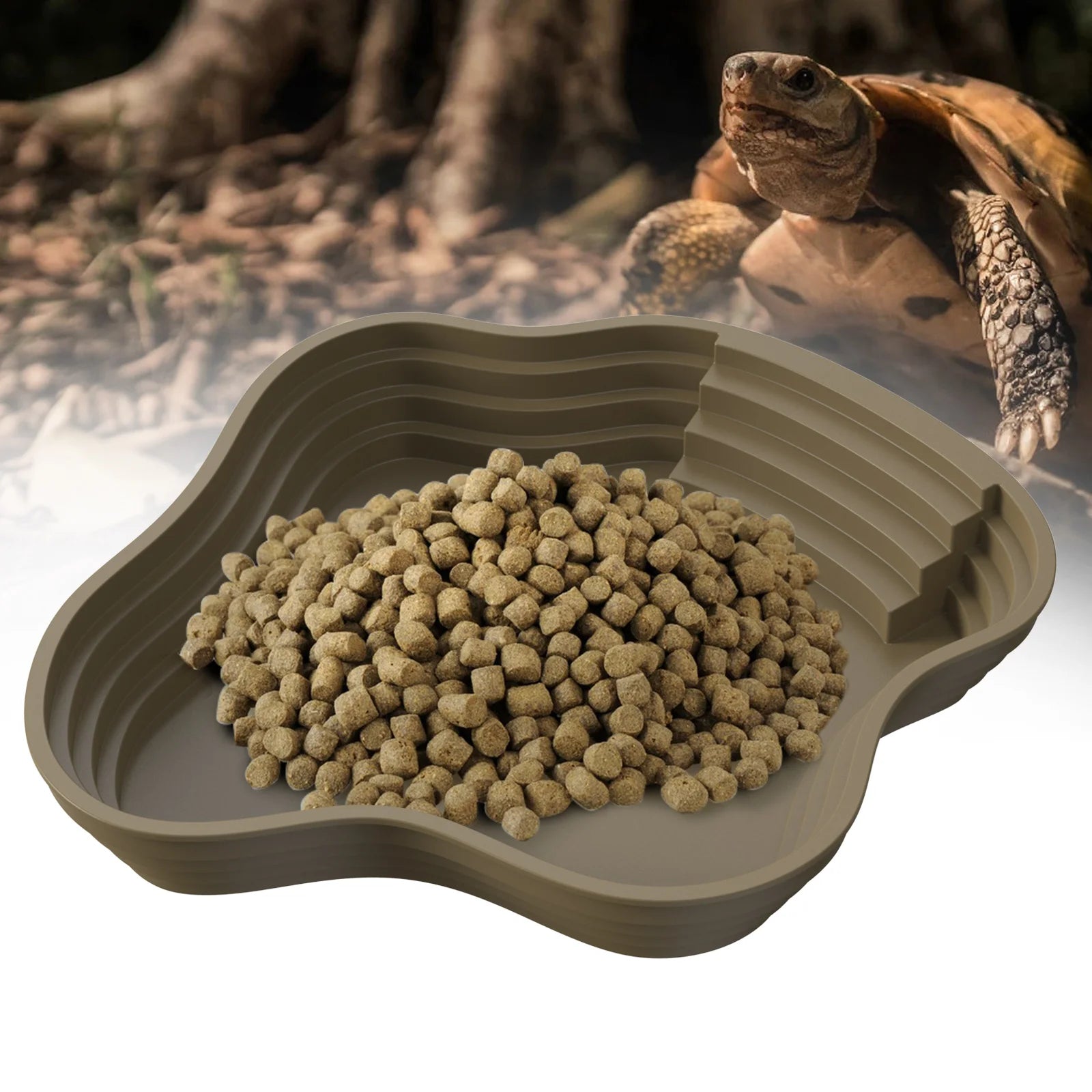 Bassin de Bain et Gamelle Multi-Usage pour Tortue & Reptile - NOMOYPET