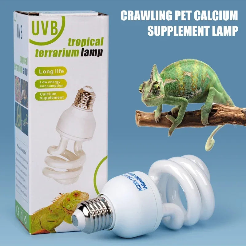 Lampe UVB