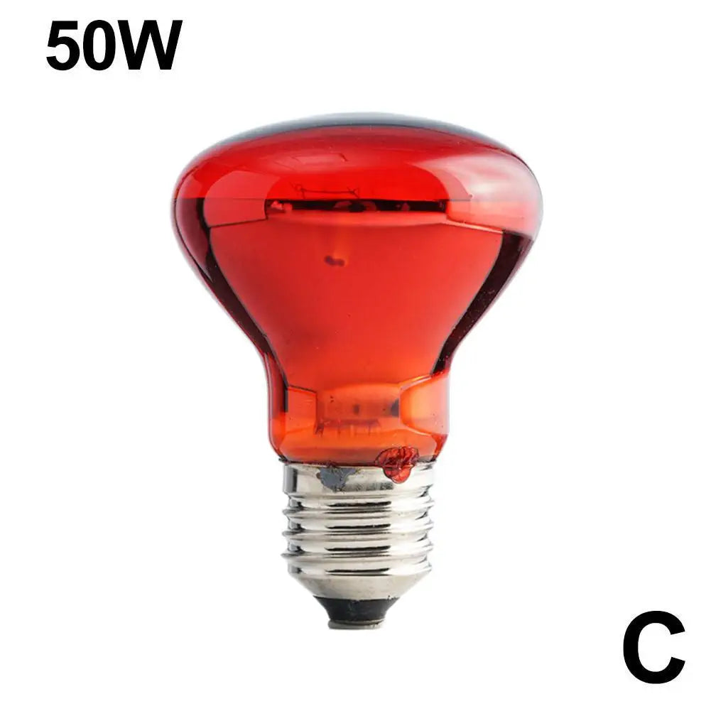 Ampoule Chauffante Infrarouge E27 pour Terrarium - Lampe Reptile 25W-100W