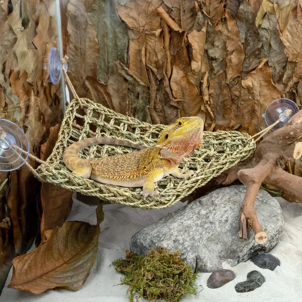 Hamac de Repos Suspendu pour Reptile - Pogona, Gecko, Caméléon, Serpent