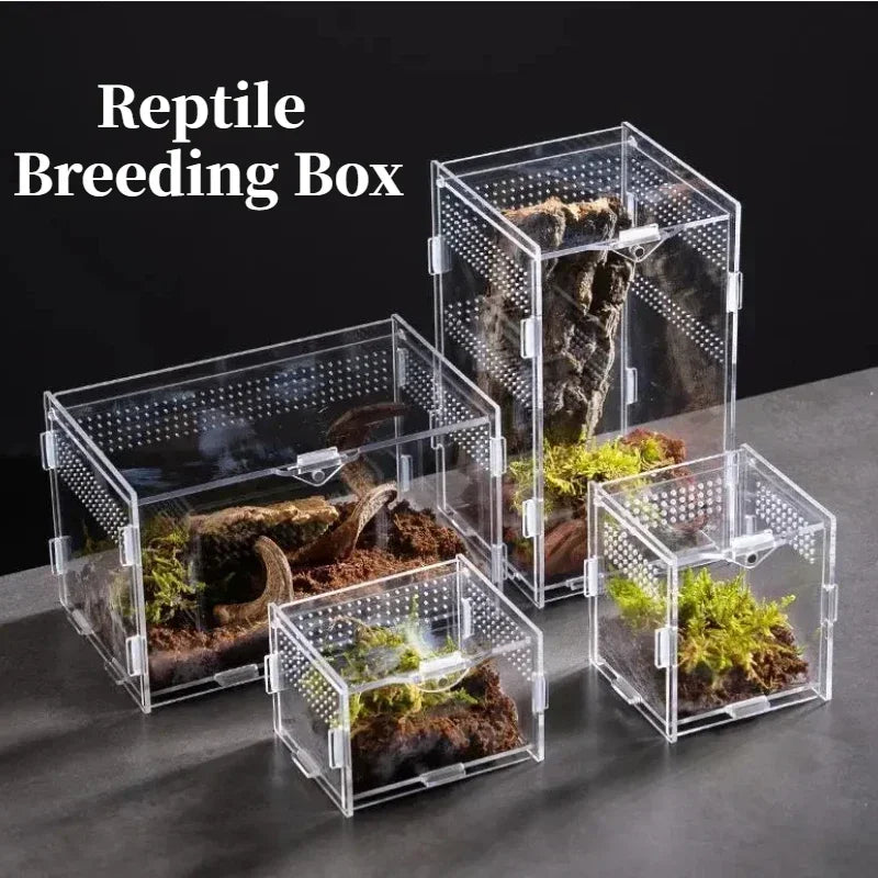 Terrarium Acrylique Transparent pour Élevage - Boîte d'Éclosion Reptiles &amp; Insectes