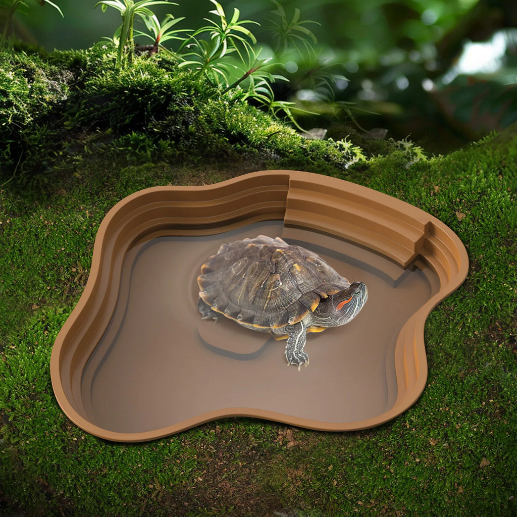 Bassin de Bain et Gamelle Multi-Usage pour Tortue & Reptile - NOMOYPET