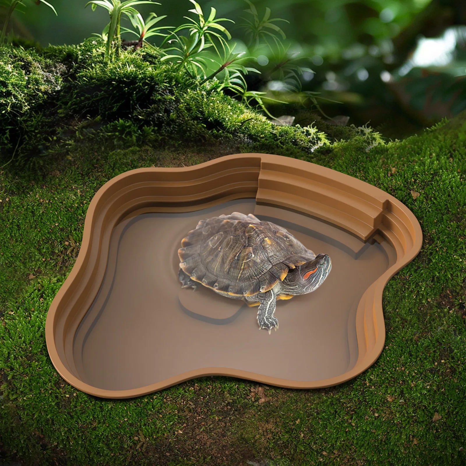 Bassin de Bain et Gamelle Multi-Usage pour Tortue & Reptile - NOMOYPET
