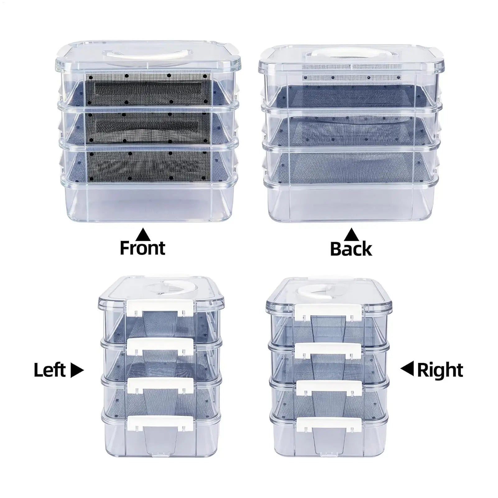 Kit d'Élevage de Vers de Farine 4 Étages - Nourriture Vivante pour Reptiles