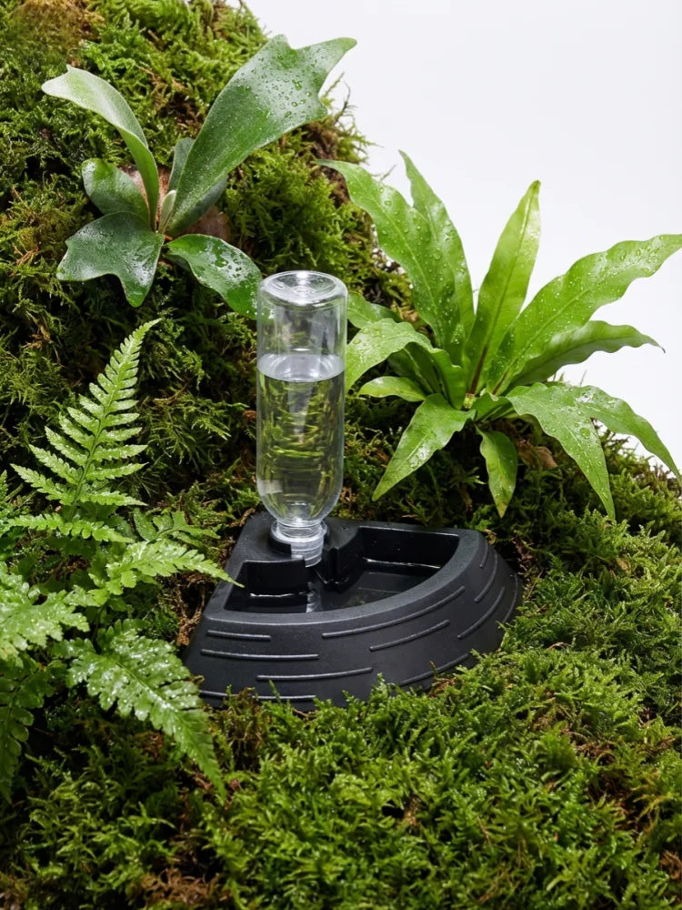 Distributeur Nourriture & Eau 2-en-1 pour Reptile - Coin de Terrarium