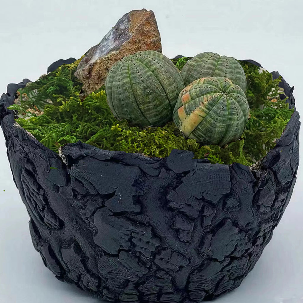 Mousse Artificielle Décorative pour Terrarium - Vert / Chartreuse