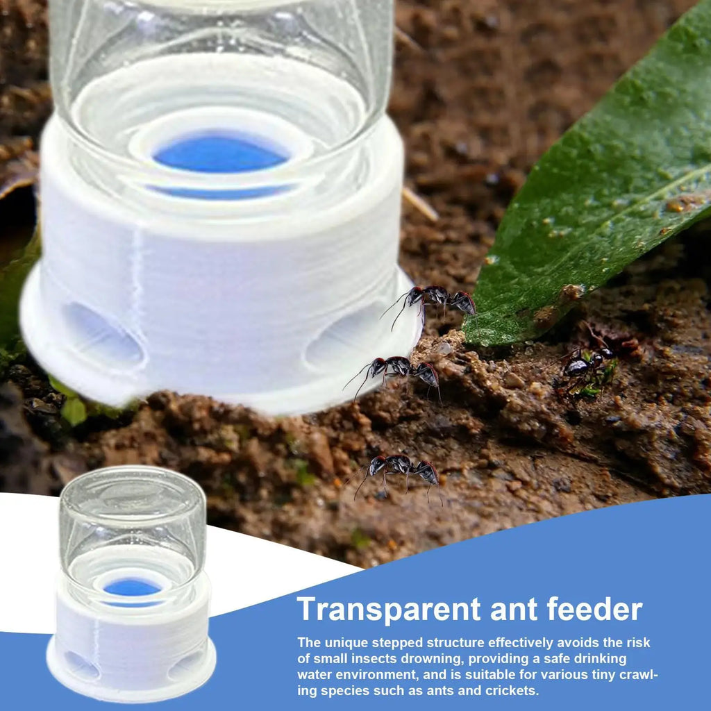 Abreuvoir Anti-Noyade 12ml pour Fourmilière - Point d'Eau Fourmis