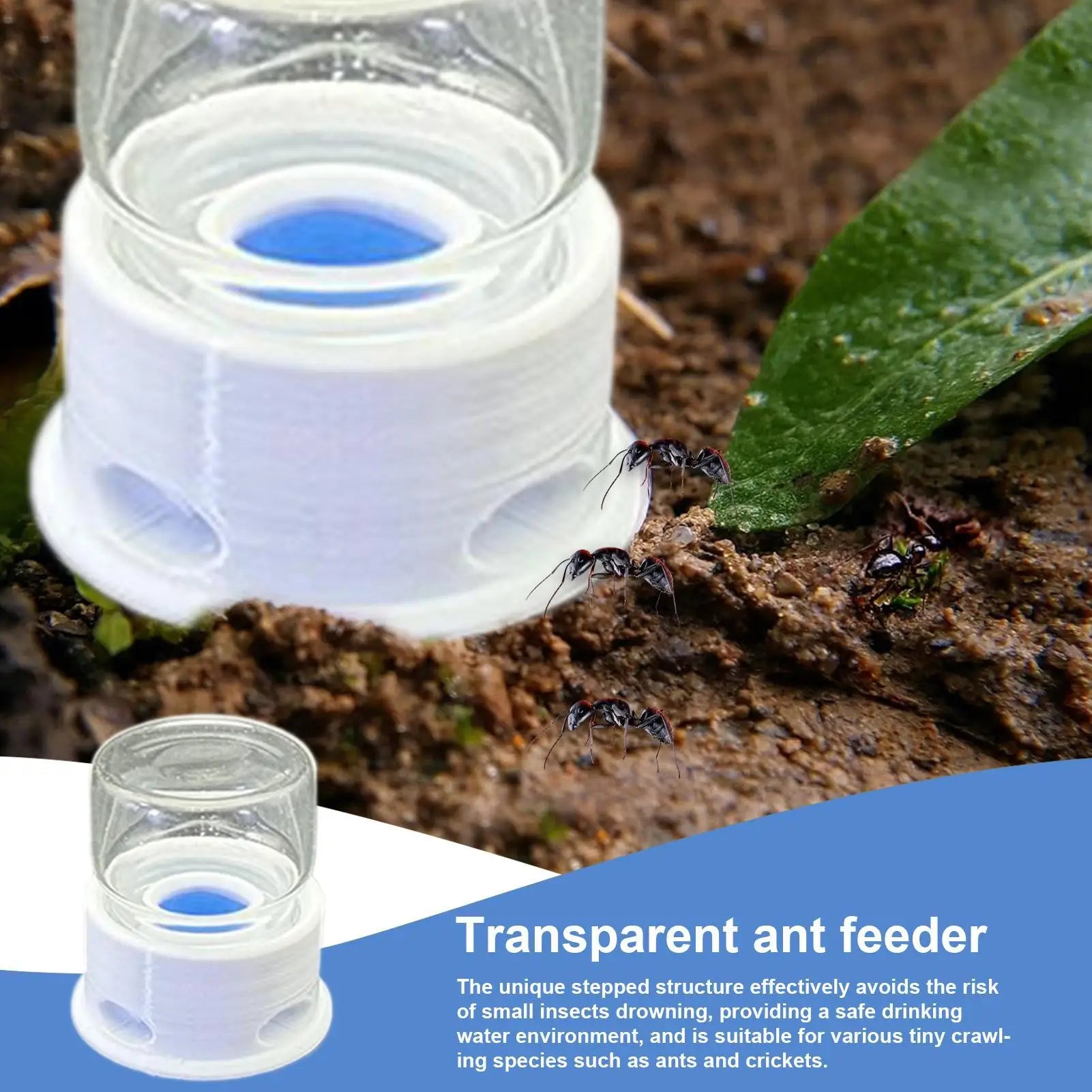Abreuvoir Anti-Noyade 12ml pour Fourmilière - Point d'Eau Fourmis