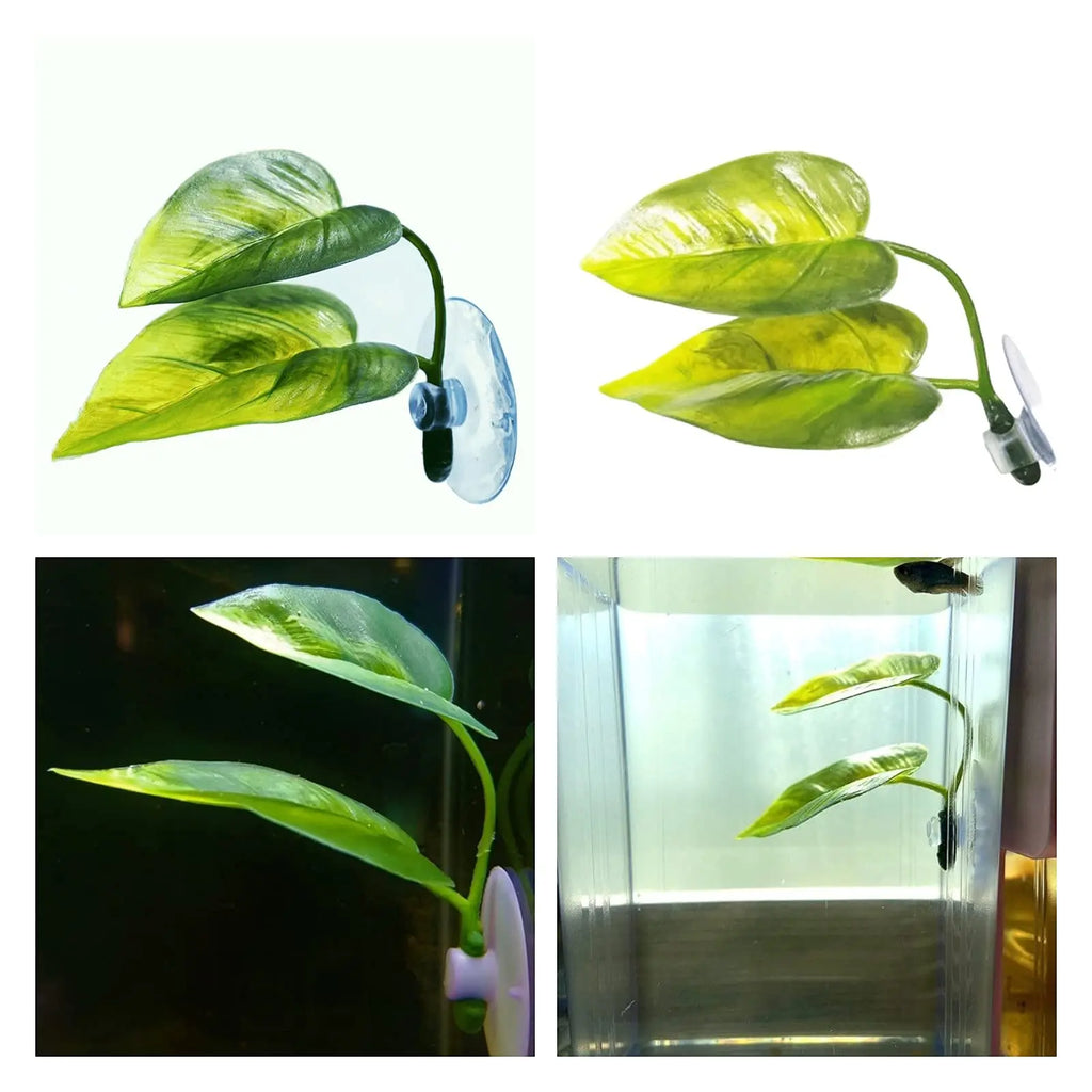 Hamac Feuille à Ventouse pour Aquarium - Repos Poisson Betta