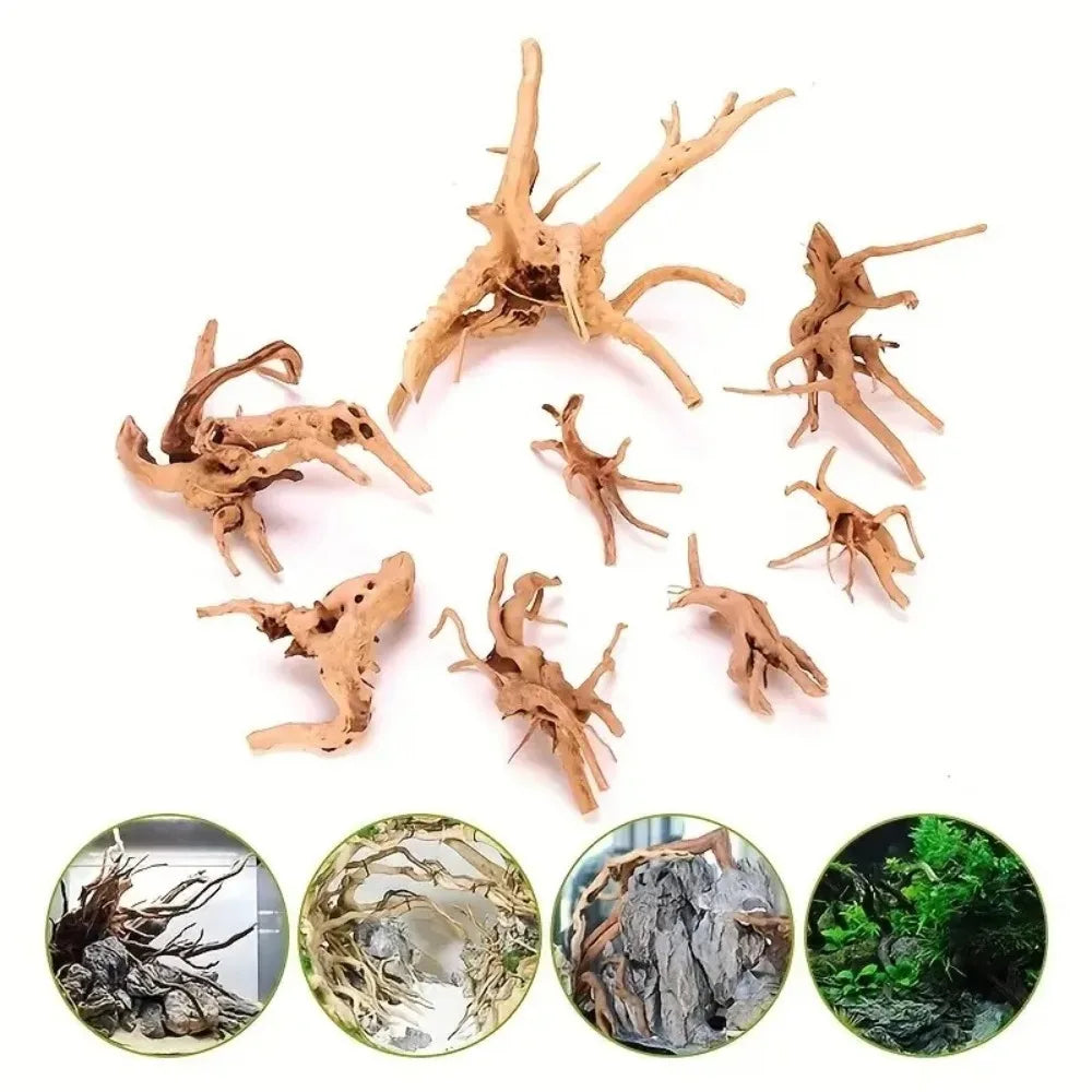 Racine Bois Flotté Naturelle pour Terrarium & Aquarium