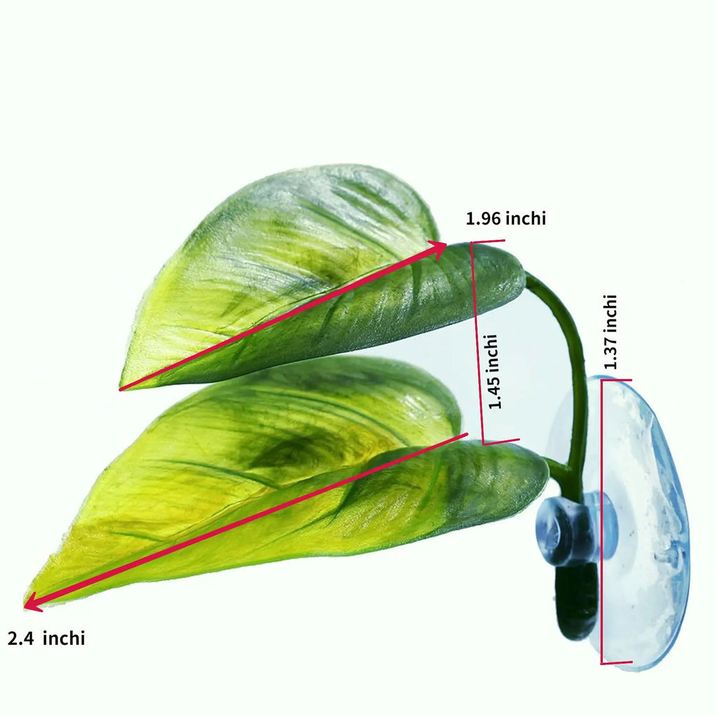 Hamac Feuille à Ventouse pour Aquarium - Repos Poisson Betta